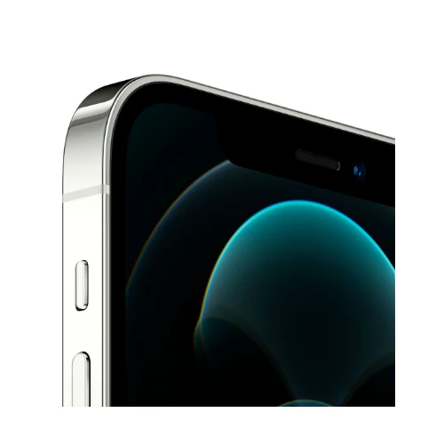iPhone 12 Pro Max Silver 256GB (Unlocked) - Image 3